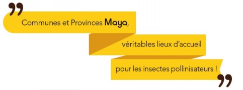 communes-provinces-maya.jpg